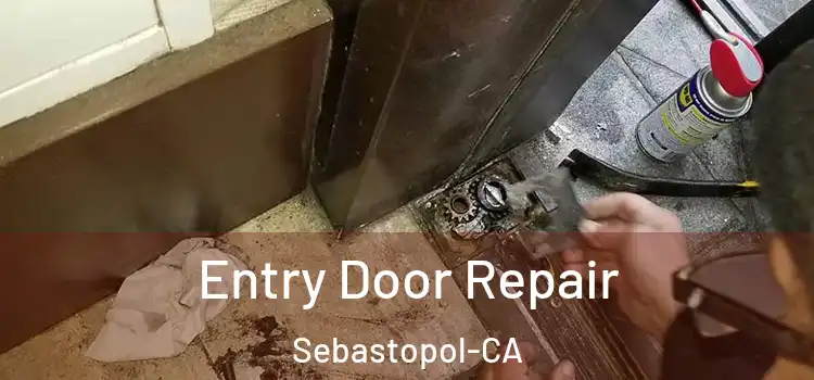  Entry Door Repair Sebastopol-CA