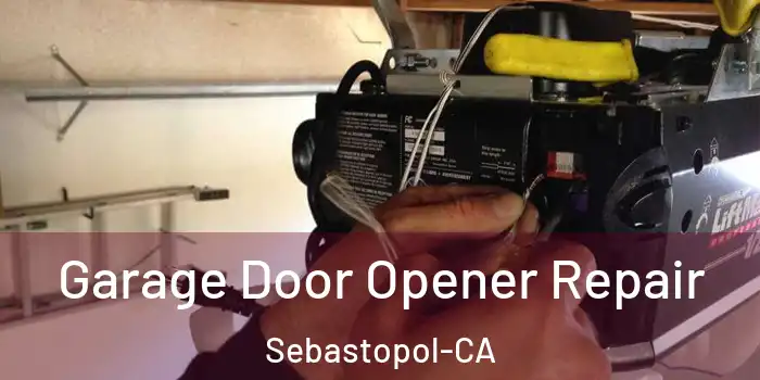  Garage Door Opener Repair Sebastopol-CA