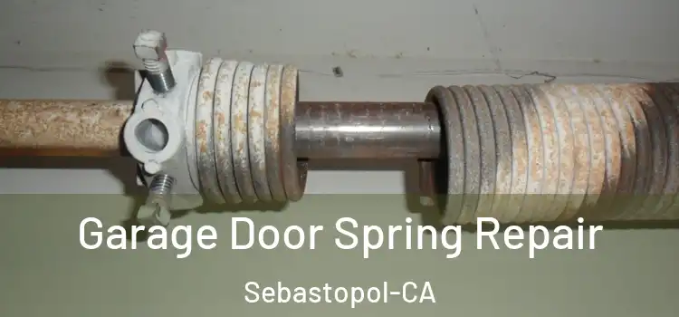  Garage Door Spring Repair Sebastopol-CA