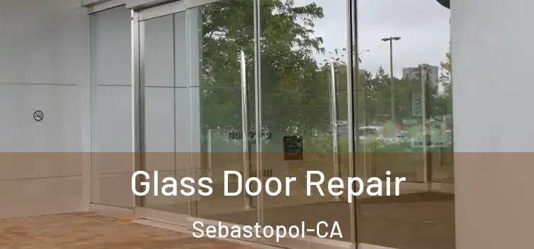  Glass Door Repair Sebastopol-CA